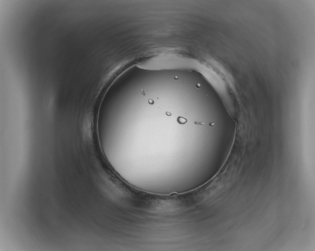 X0000112540107200908241535