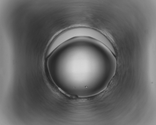X0000112540108200908241535