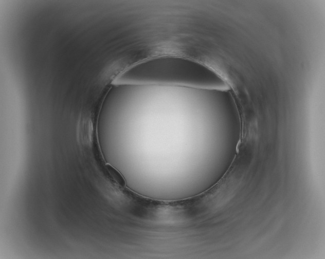 X0000112540109200908241535