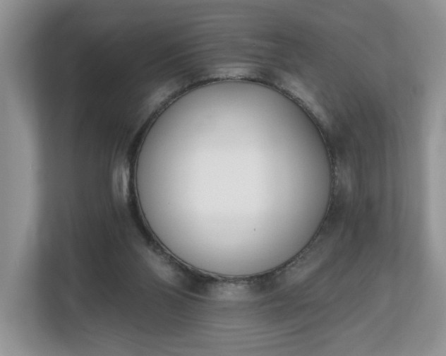 X0000112540110200908241535