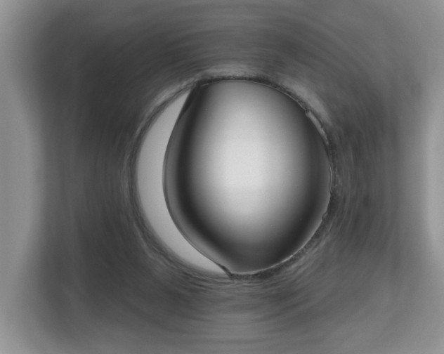 X0000112540111200908241535