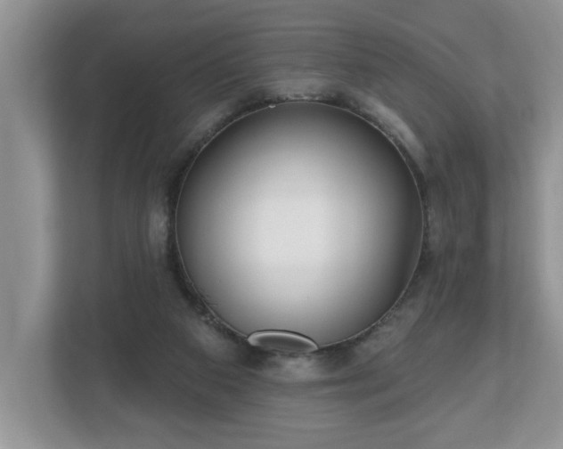 X0000112540113200908241535