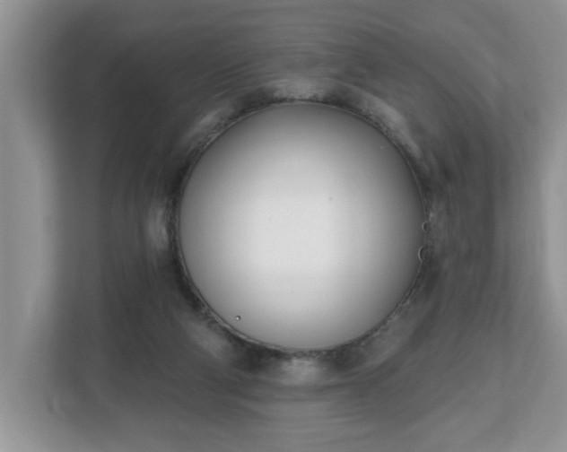 X0000112540114200908241535