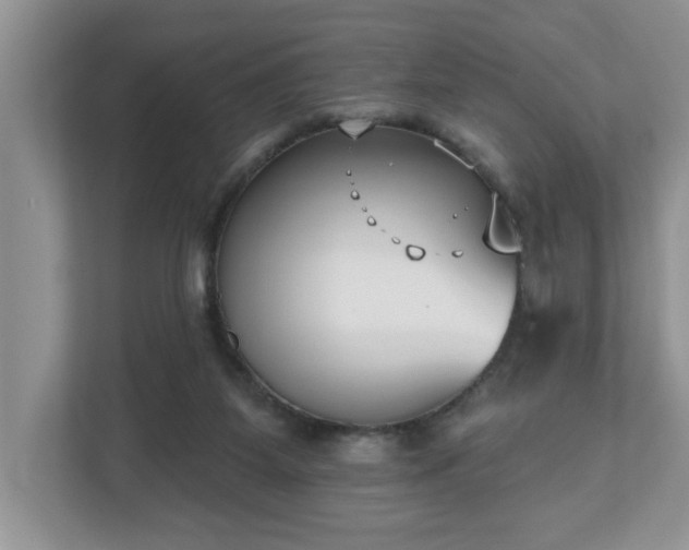 X0000112540115200908241535