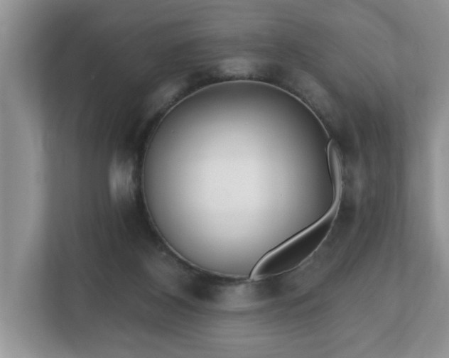 X0000112540116200908241535