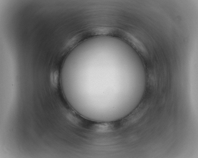 X0000112540118200908241535