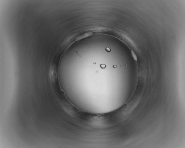 X0000112540119200908241534