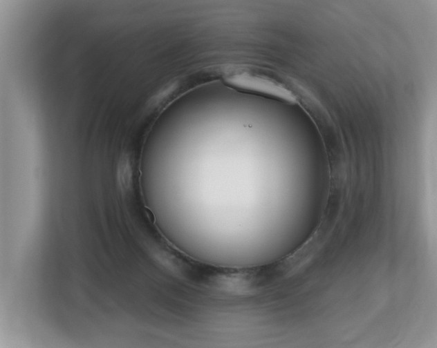X0000112540120200908241534