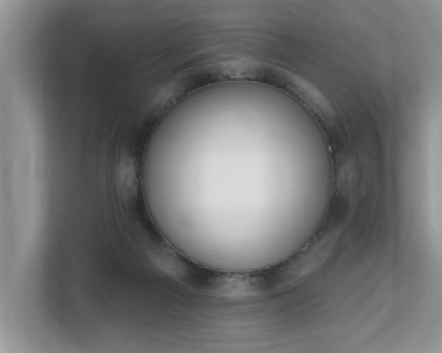X0000112540121200908241534