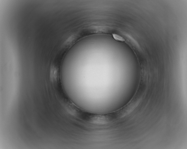 X0000112540123200908241534