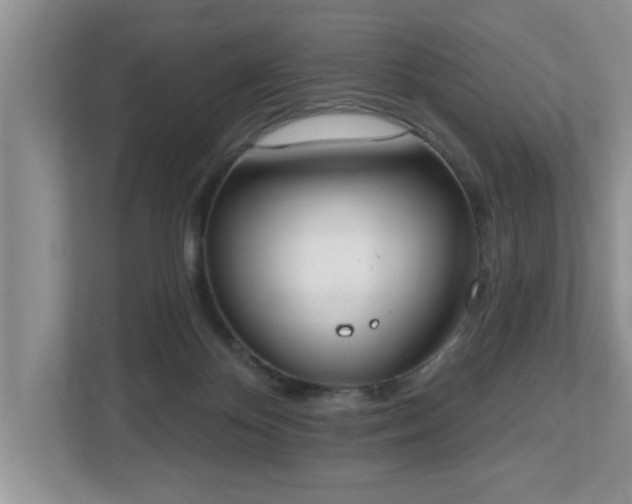 X0000112540124200908241534