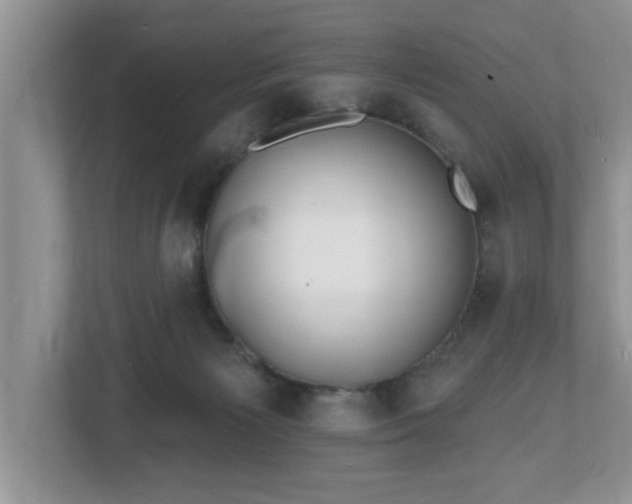 X0000112540125200908241534