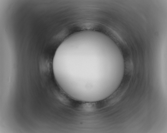 X0000112540126200908241534