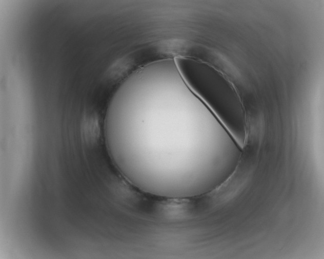 X0000112540128200908241534