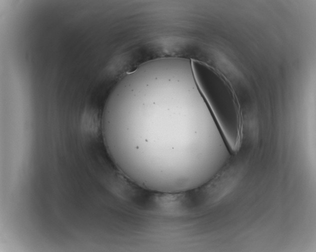 X0000112540129200908241534