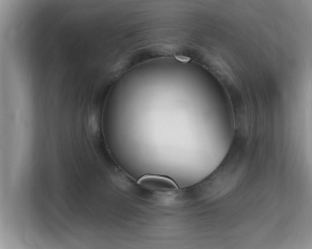 X0000112540131200908241534