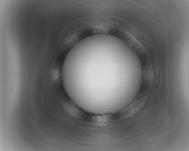 X0000112540134200908241534