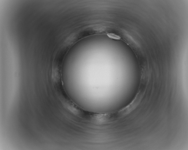 X0000112540136200908241534