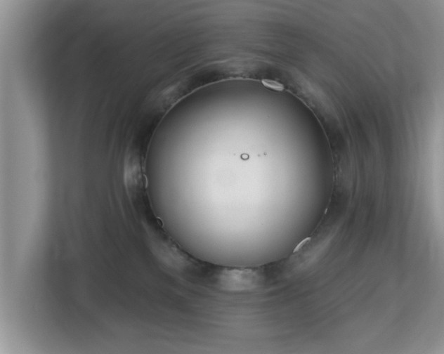 X0000112540137200908241534