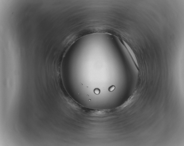 X0000112540140200908241534