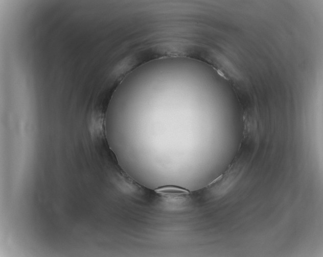 X0000112540141200908241534