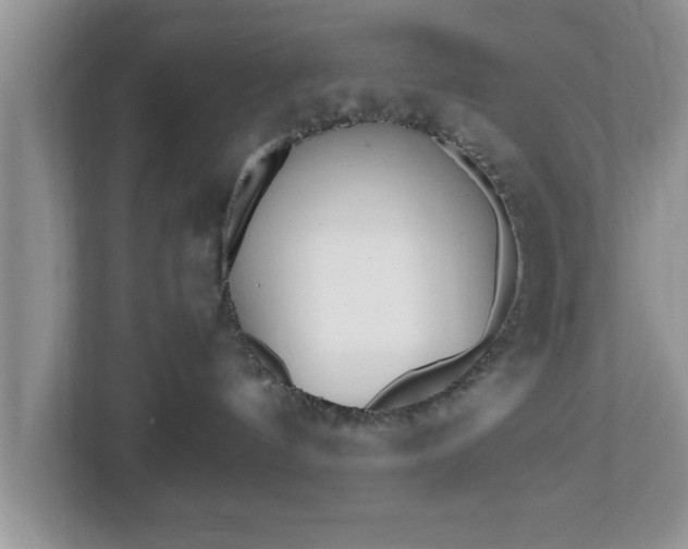 X0000112540144200908241534
