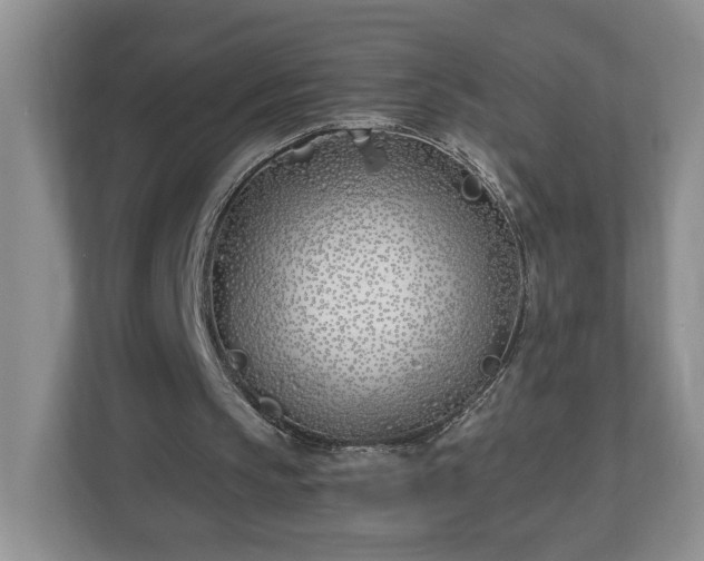 X0000112540145200908241534