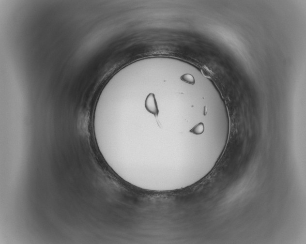 X0000112540146200908241534