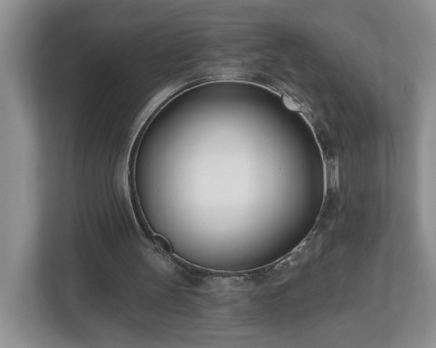 X0000112540147200908241534
