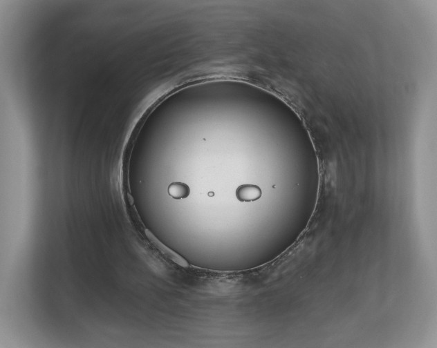 X0000112540148200908241534
