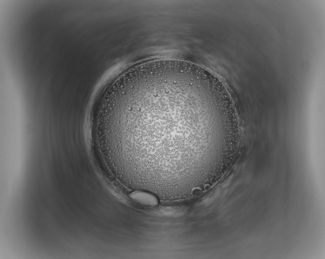 X0000112540149200908241534