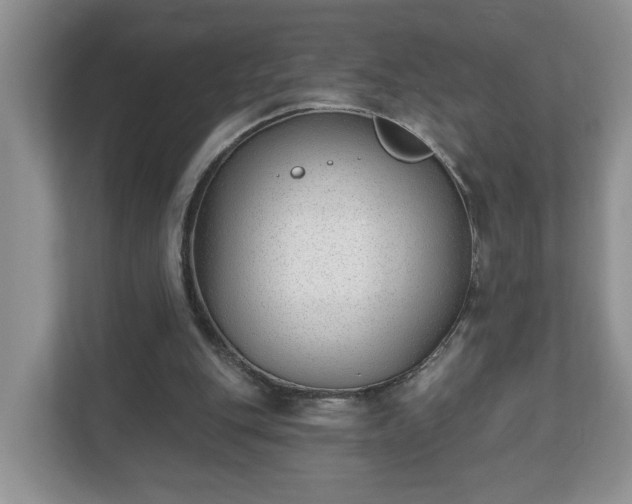 X0000112540151200908241534
