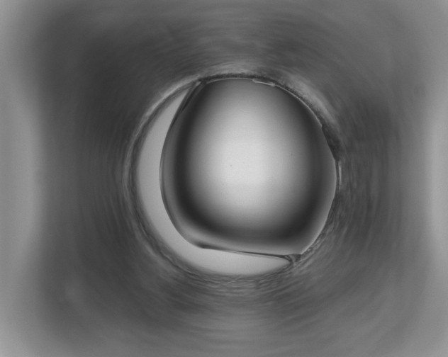 X0000112540156200908241534