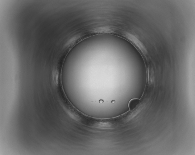X0000112540157200908241534