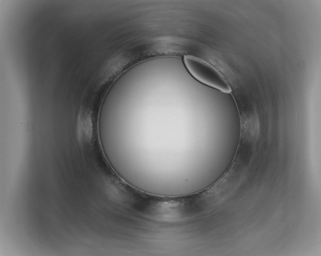 X0000112540158200908241534