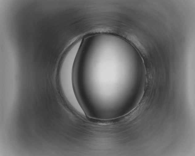 X0000112540160200908241534
