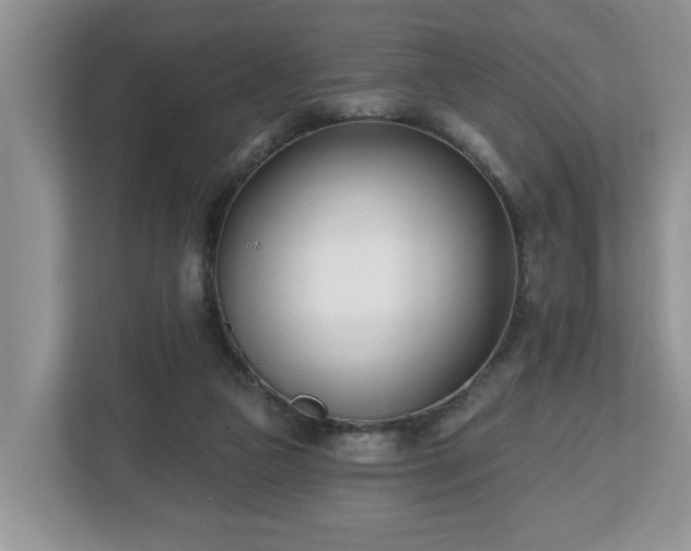 X0000112540161200908241534