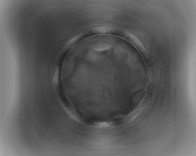 X0000112540163200908241534