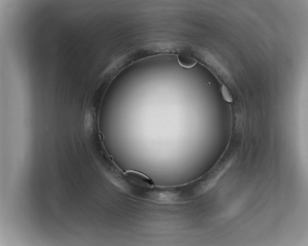 X0000112540165200908241534