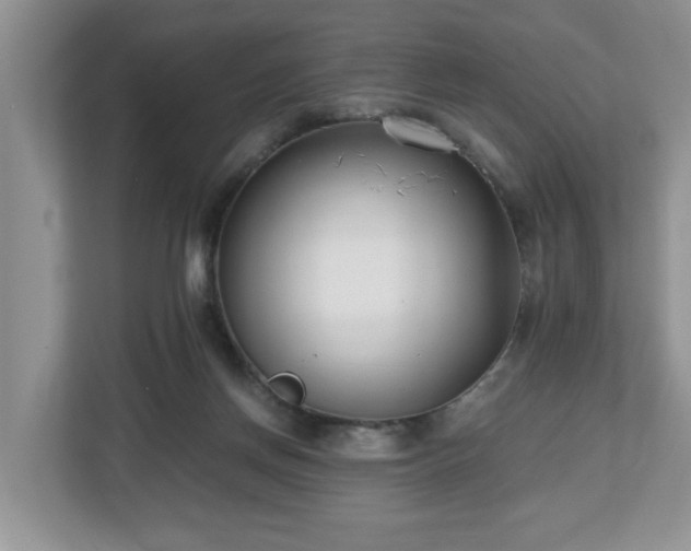 X0000112540166200908241534