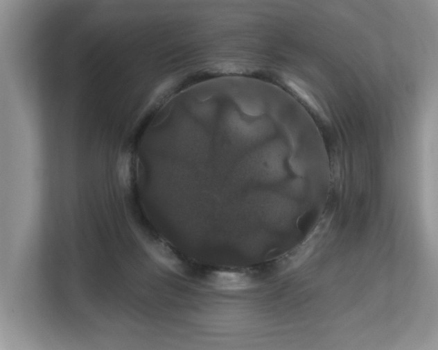 X0000112540167200908241534