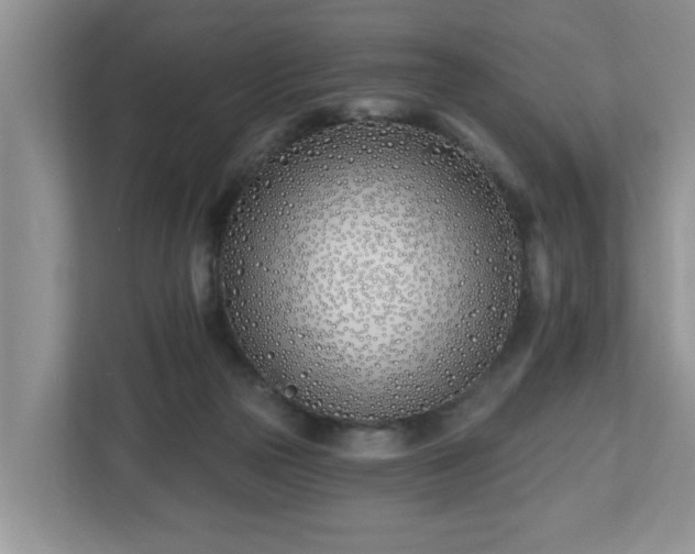 X0000112540169200908241534