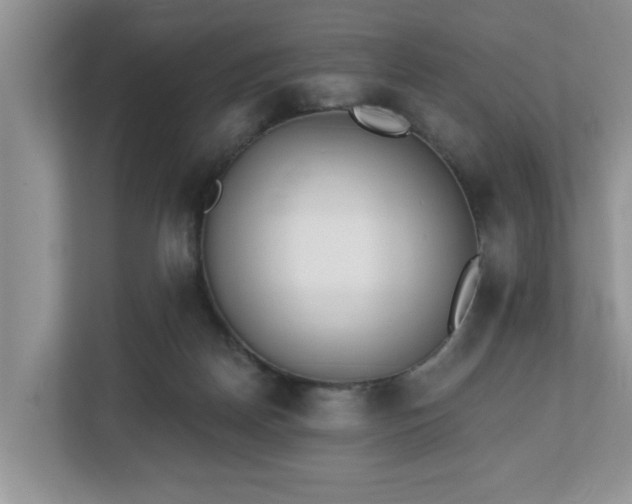 X0000112540170200908241534