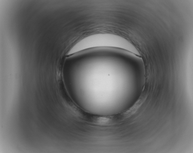 X0000112540176200908241534