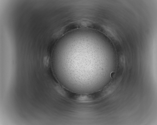 X0000112540177200908241534