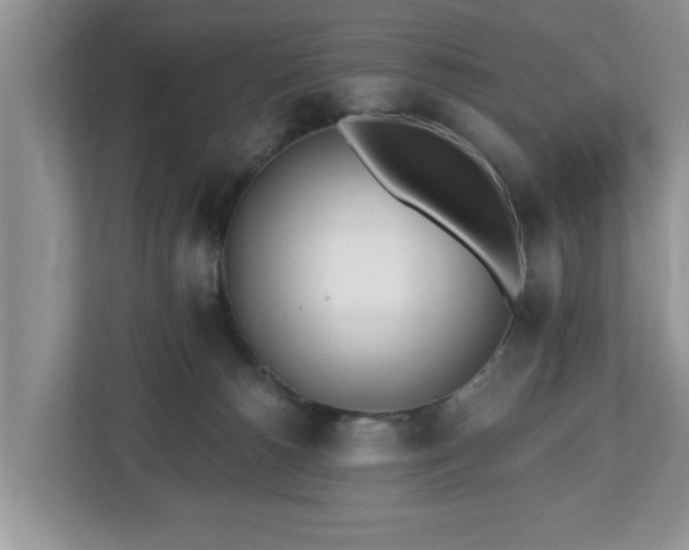X0000112540180200908241534