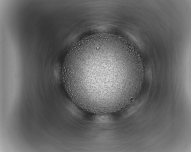 X0000112540181200908241534