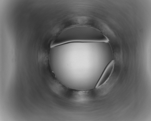 X0000112540184200908241534