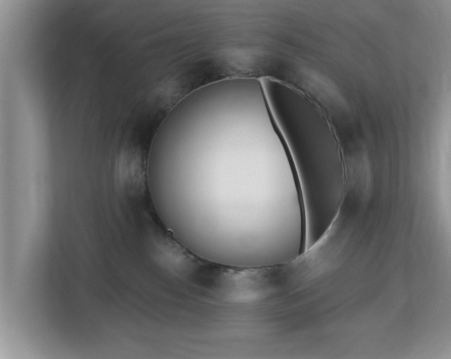 X0000112540186200908241534