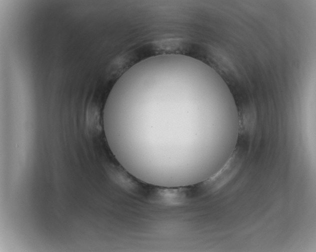 X0000112540187200908241534